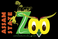 zoo